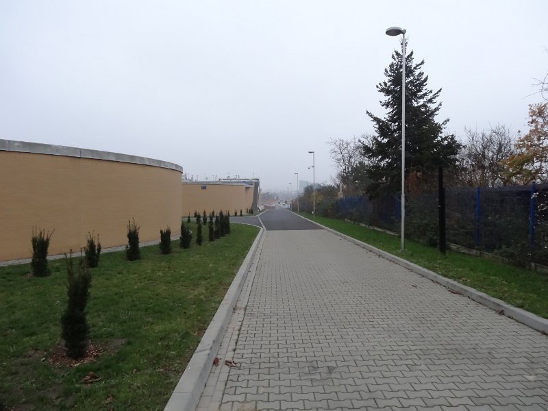 DSC00270